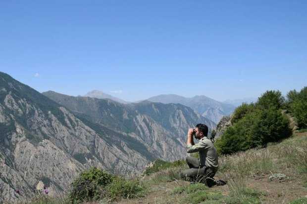 قلب‌هایی که برای مرال می‌تپد