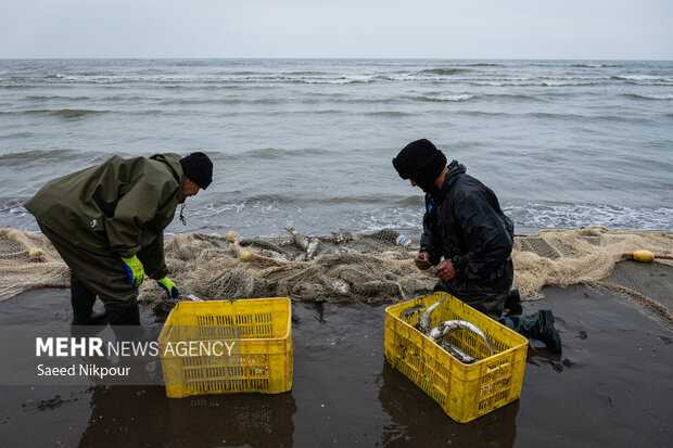 دست دوستی دریا با صیادان