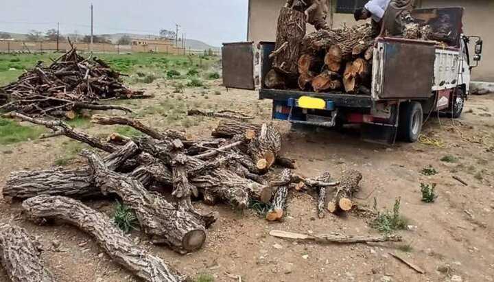 شبکه قاچاق چوب در عباس آباد متلاشی شد